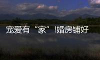 快排公司十年历程，霸屏兔 seo 的崛起与坚守