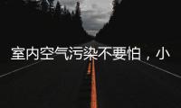 室内空气污染不要怕，小海鸥贝壳粉还你清新空气!
