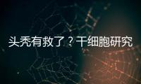 快排公司十年历程，霸屏兔 seo 的崛起与坚守