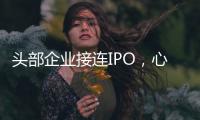 头部企业接连IPO，心脏瓣膜行业为何这么热？