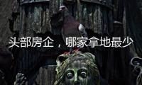 头部房企
，哪家拿地最少