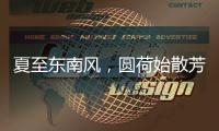 快排公司十年历程，霸屏兔 seo 的崛起与坚守