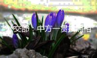 外交部：中方一贯按照相互尊重、和平共处、合作共赢的原则看待和处理中美关系