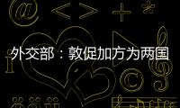 外交部：敦促加方为两国企业开展正常贸易和合作提供公平、非歧视、可预期的环境
