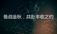 备战金秋，共赴丰收之约！潍柴WP6/WP7H收获机动力批量交付