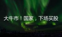 大牛市�！国家
，下场买股票