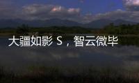 大疆如影 S，智云微毕S怎么样?