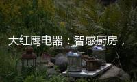 快排公司十年历程，霸屏兔 seo 的崛起与坚守