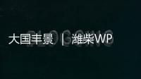 大国丰景 ｜ 潍柴WP4.6N收获机动力，低速高效真省油！