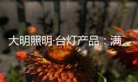 大明照明·台灯产品
�：满足眼 满足心 满足对美的追求
