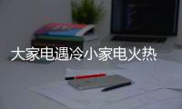大家电遇冷小家电火热 我们变了还是生活变了?