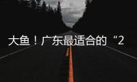 大鱼	！广东最适合的“2米暴力锋线”曝光，这可是08级天赋第一人