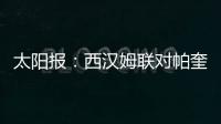 快排公司十年历程，霸屏兔 seo 的崛起与坚守