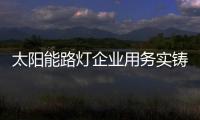 太阳能路灯企业用务实铸强势民族品牌