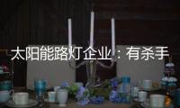 太阳能路灯企业：有杀手锏才能有销量有市场