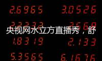 快排公司十年历程，霸屏兔 seo 的崛起与坚守