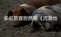 多名旅客称携带《流浪地球2》周边充电宝登机受阻：最高售价近千元，如今面临处理难