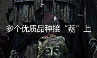 多个优质品种接“荔”上市，斗门今年荔枝总产量将达4500吨