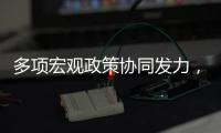 多项宏观政策协同发力	，4月国民经济顶住压力稳定增长