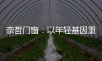 快排公司十年历程，霸屏兔 seo 的崛起与坚守