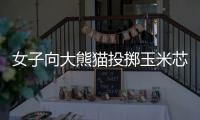 女子向大熊猫投掷玉米芯 成都熊猫谷通报：终生禁入
