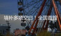 填补多项空白
！全国首艘氢电拖轮入列