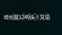 增长至1249头！又见“长江中的微笑”丨漫热点