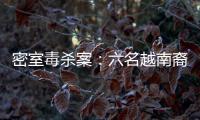 快排公司十年历程，霸屏兔 seo 的崛起与坚守