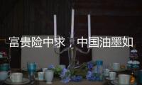 快排公司十年历程，霸屏兔 seo 的崛起与坚守