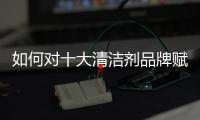 如何对十大清洁剂品牌赋予影响力和价值?
