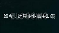 如今	，灶具企业需主动洞察消费者需求
