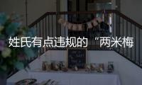 快排公司十年历程，霸屏兔 seo 的崛起与坚守