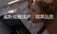 威斯顿壁挂炉：精英品质 温暖你我