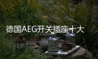 德国AEG开关插座十大品牌	：经典呈现，完美创新