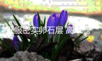 征服密实卵石层 高效施工展实力┃泰信卡特彼勒底盘钻机赋能乌兹别克斯坦最长桥梁建设