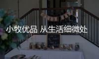 快排公司十年历程，霸屏兔 seo 的崛起与坚守