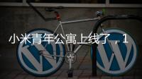 快排公司十年历程，霸屏兔 seo 的崛起与坚守