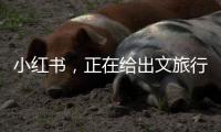 小红书	�，正在给出文旅行业增长新解答