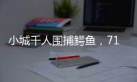 小城千人围捕鳄鱼，71条已全部查明和追回