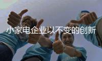 快排公司十年历程，霸屏兔 seo 的崛起与坚守
