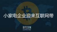 快排公司十年历程，霸屏兔 seo 的崛起与坚守