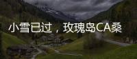 快排公司十年历程，霸屏兔 seo 的崛起与坚守