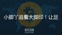 快排公司十年历程，霸屏兔 seo 的崛起与坚守