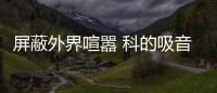 快排公司十年历程，霸屏兔 seo 的崛起与坚守