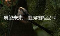 展望未来，厨房橱柜品牌以环保优势席卷市场
