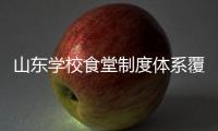 快排公司十年历程，霸屏兔 seo 的崛起与坚守