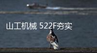 快排公司十年历程，霸屏兔 seo 的崛起与坚守