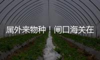快排公司十年历程，霸屏兔 seo 的崛起与坚守