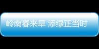 岭南春来早 添绿正当时！香洲区大街小巷植树忙