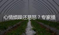 心情烦躁还易怒？专家提醒35℃以上当防“情绪中暑”丨硬核唠科